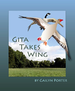 Gita Takes Wing, Gailyn Porter